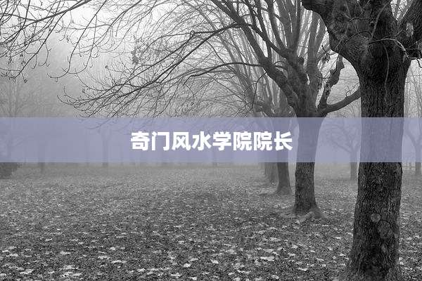 奇门风水学院院长