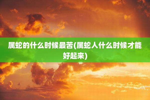 属蛇的什么时候最苦(属蛇人什么时候才能好起来)