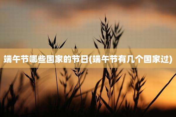 端午节哪些国家的节日(端午节有几个国家过)