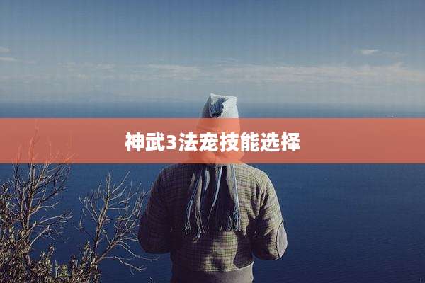 神武3法宠技能选择