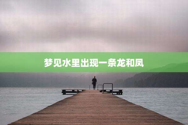 梦见水里出现一条龙和凤