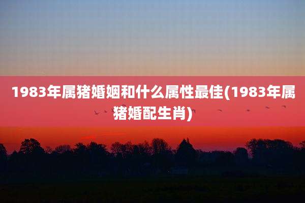 1983年属猪婚姻和什么属性最佳(1983年属猪婚配生肖)