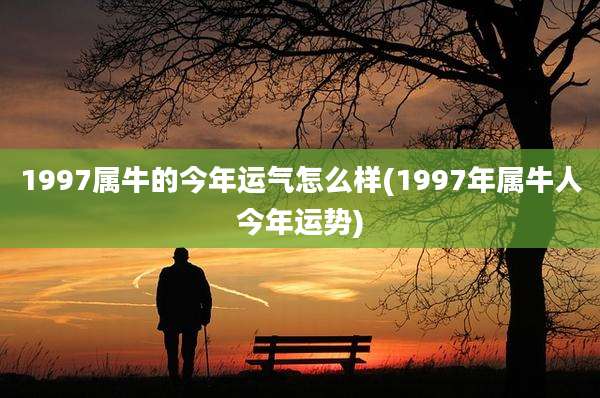 1997属牛的今年运气怎么样(1997年属牛人今年运势)