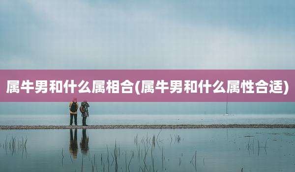属牛男和什么属相合(属牛男和什么属性合适)
