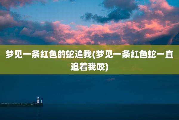 梦见一条红色的蛇追我(梦见一条红色蛇一直追着我咬)