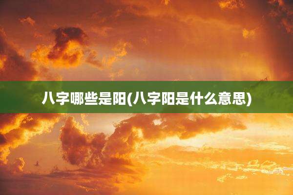 八字哪些是阳(八字阳是什么意思)