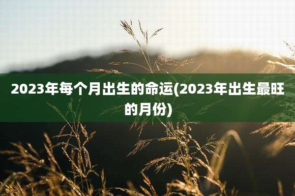 2023年每个月出生的命运(2023年出生最旺的月份)