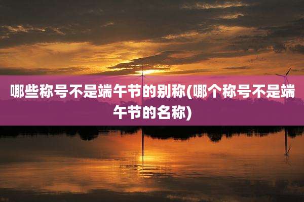 哪些称号不是端午节的别称(哪个称号不是端午节的名称)
