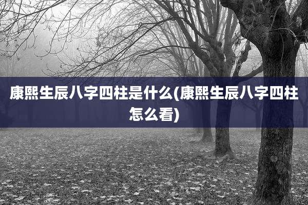 康熙生辰八字四柱是什么(康熙生辰八字四柱怎么看)