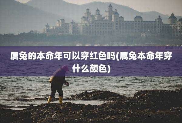 属兔的本命年可以穿红色吗(属兔本命年穿什么颜色)