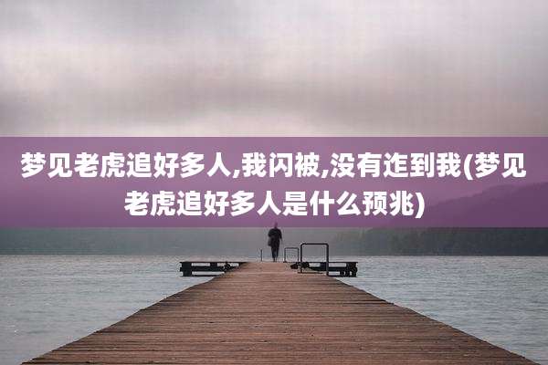 梦见老虎追好多人,我闪被,没有迮到我(梦见老虎追好多人是什么预兆)