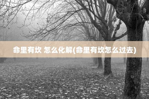 命里有坎 怎么化解(命里有坎怎么过去)