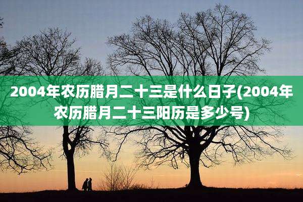 2004年农历腊月二十三是什么日子(2004年农历腊月二十三阳历是多少号)