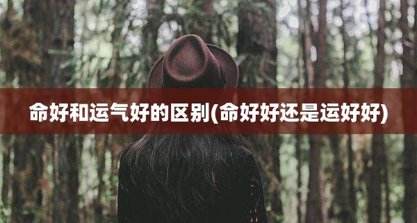 命好和运气好的区别(命好好还是运好好)