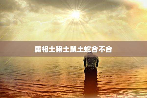 属相土猪土鼠土蛇合不合