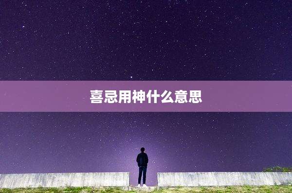 喜忌用神什么意思
