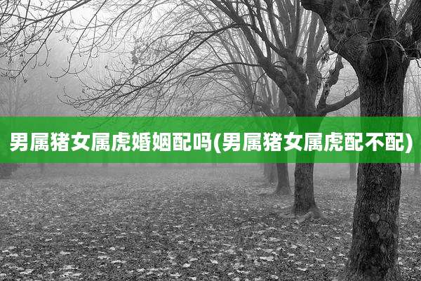 男属猪女属虎婚姻配吗(男属猪女属虎配不配)
