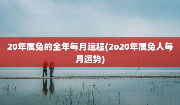20年属兔的全年每月运程(2o20年属兔人每月运势)