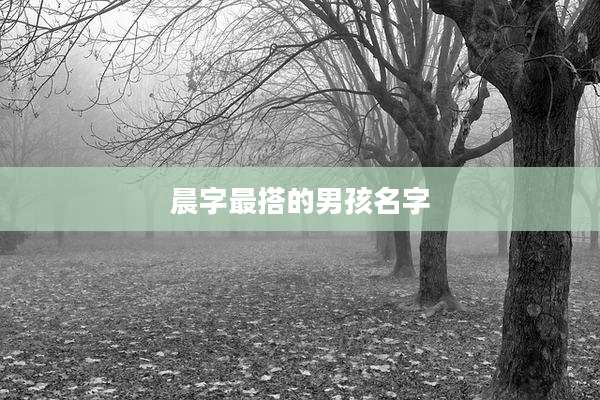 晨字最搭的男孩名字