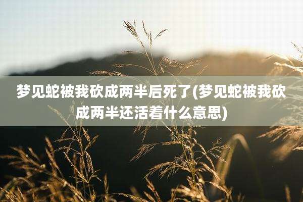 梦见蛇被我砍成两半后死了(梦见蛇被我砍成两半还活着什么意思)