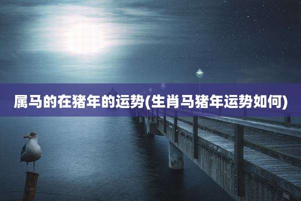 属马的在猪年的运势(生肖马猪年运势如何)