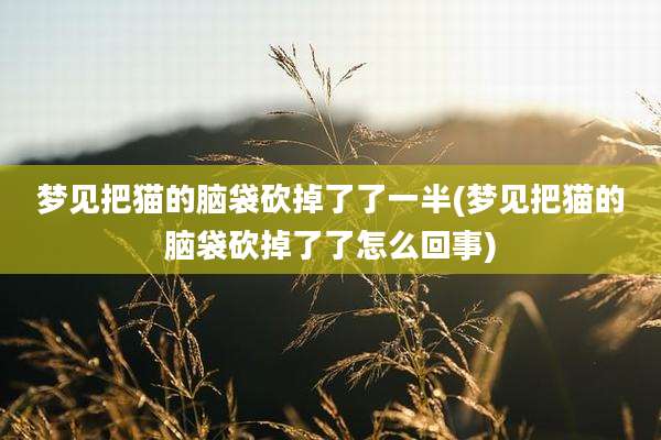 梦见把猫的脑袋砍掉了了一半(梦见把猫的脑袋砍掉了了怎么回事)