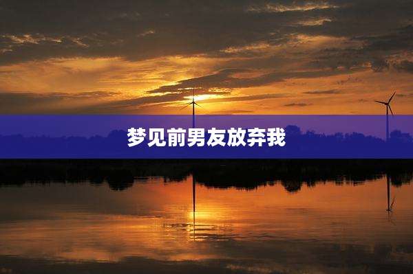 梦见前男友放弃我