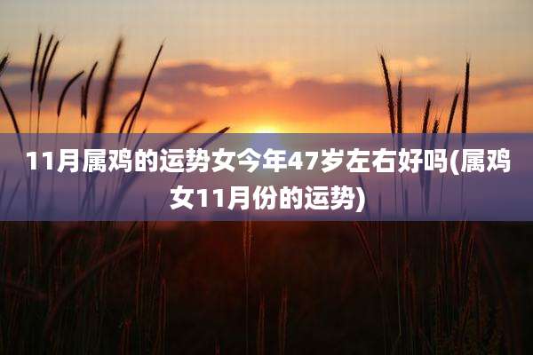 11月属鸡的运势女今年47岁左右好吗(属鸡女11月份的运势)