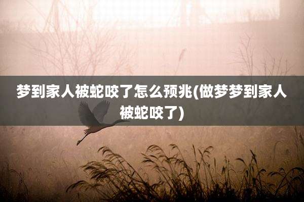 梦到家人被蛇咬了怎么预兆(做梦梦到家人被蛇咬了)