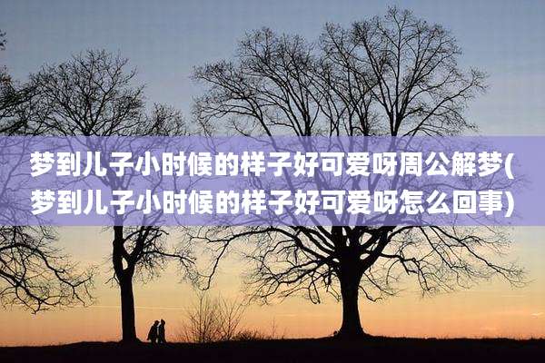 梦到儿子小时候的样子好可爱呀周公解梦(梦到儿子小时候的样子好可爱呀怎么回事)