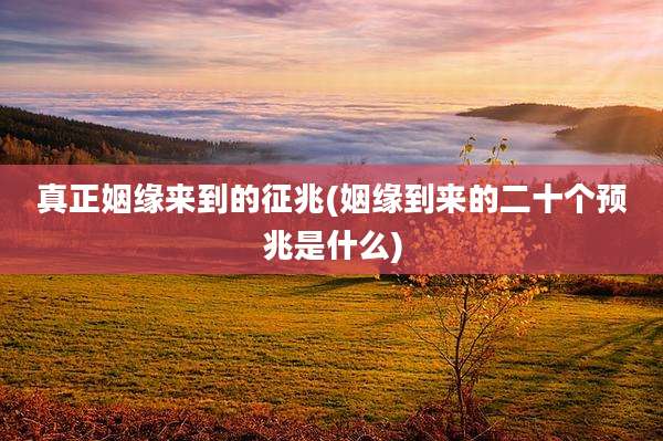 真正姻缘来到的征兆(姻缘到来的二十个预兆是什么)
