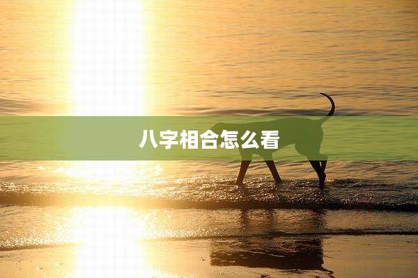 八字相合怎么看