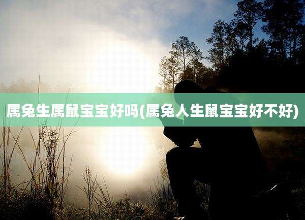 属兔生属鼠宝宝好吗(属兔人生鼠宝宝好不好)