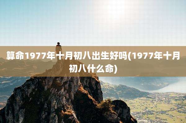 算命1977年十月初八出生好吗(1977年十月初八什么命)