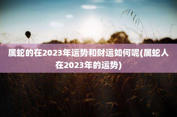 属蛇的在2023年运势和财运如何呢(属蛇人在2023年的运势)