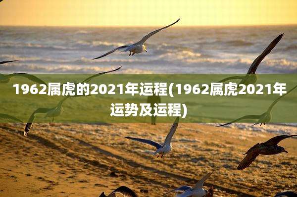 1962属虎的2021年运程(1962属虎2021年运势及运程)