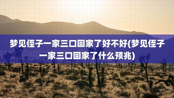 梦见侄子一家三口回家了好不好(梦见侄子一家三口回家了什么预兆)
