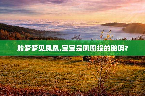 胎梦梦见凤凰,宝宝是凤凰投的胎吗?