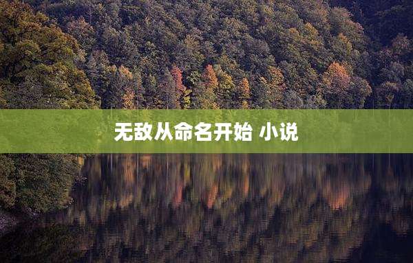 无敌从命名开始 小说
