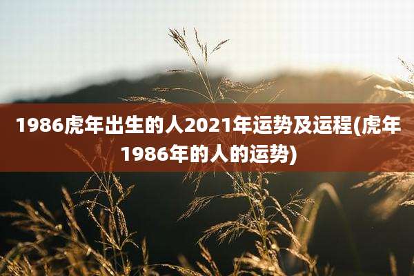 1986虎年出生的人2021年运势及运程(虎年1986年的人的运势)