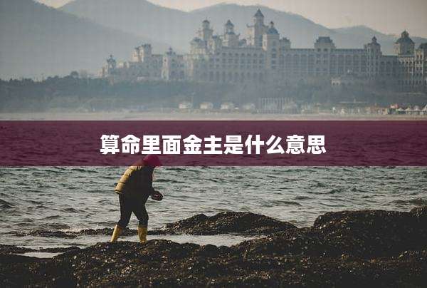 算命里面金主是什么意思