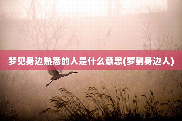 梦见身边熟悉的人是什么意思(梦到身边人)