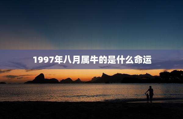 1997年八月属牛的是什么命运