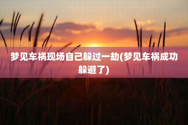 梦见车祸现场自己躲过一劫(梦见车祸成功躲避了)