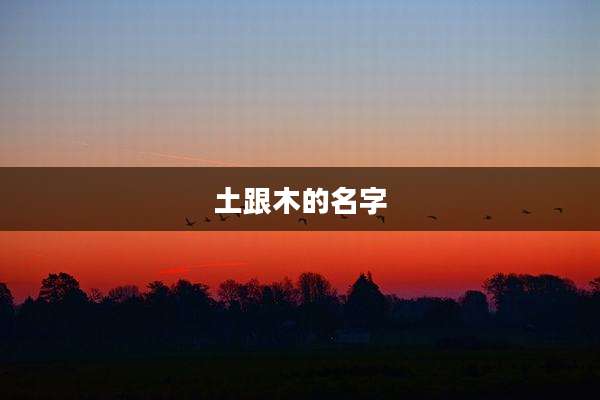土跟木的名字