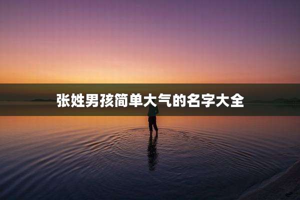 张姓男孩简单大气的名字大全