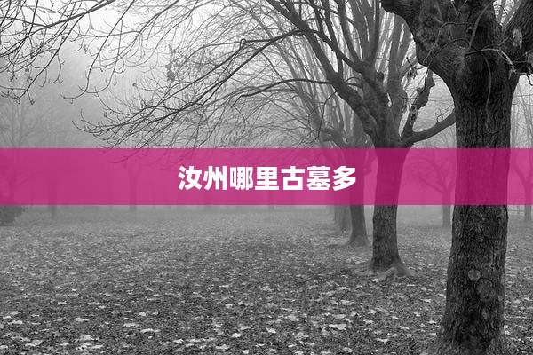 汝州哪里古墓多