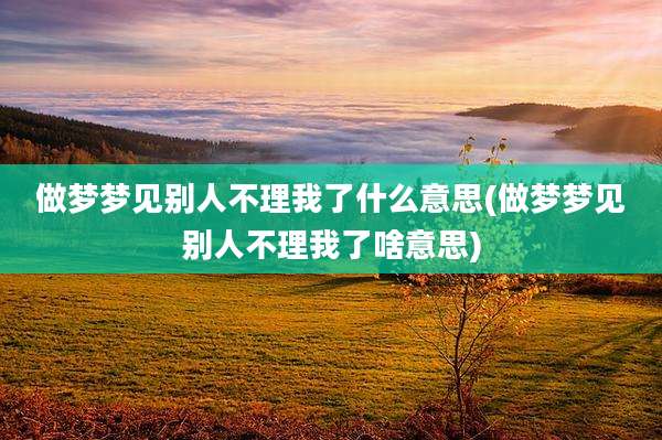 做梦梦见别人不理我了什么意思(做梦梦见别人不理我了啥意思)
