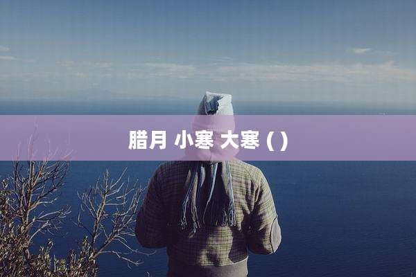 腊月 小寒 大寒 ( )