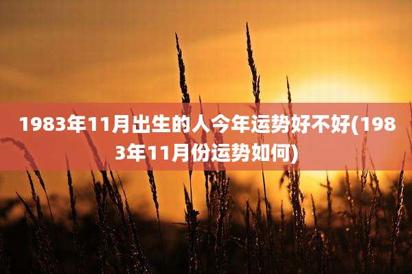 1983年11月出生的人今年运势好不好(1983年11月份运势如何)